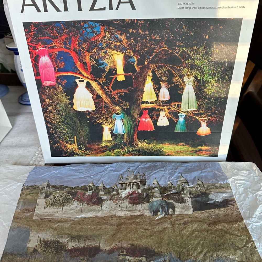 Aritzia Paper Shopping Bag Tim Walker Dress
Lamp Tree/It Rained Outside
$15